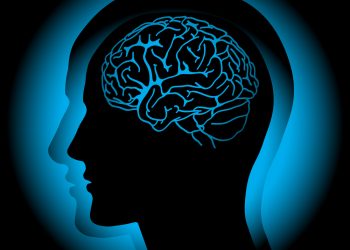 ¿Qué son las AVC y cómo se relacionan con los accidentes cerebrovasculares? – Oren Zarif