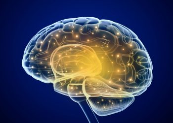 ¿Qué son las AVC y cómo se relacionan con los accidentes cerebrovasculares? – Oren Zarif